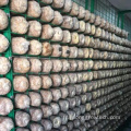 Greenhouses agricoles Film en plastique de champignons Green House